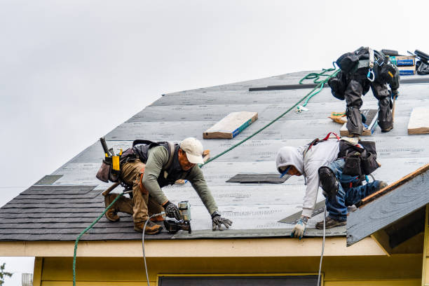 Professional Storm Damage Roof Repair technician working in Rio Vista, TX